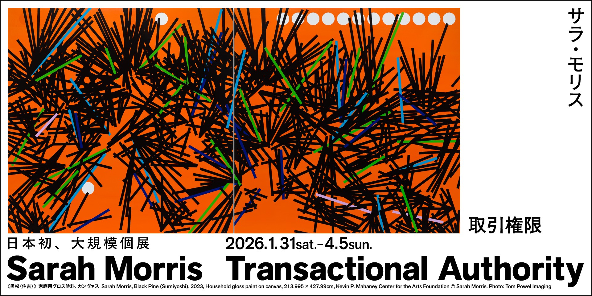 サラ・モリス 取引権限 | 大阪中之島美術館